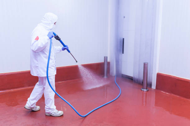 Best Roof Washing  in Lmar, DE