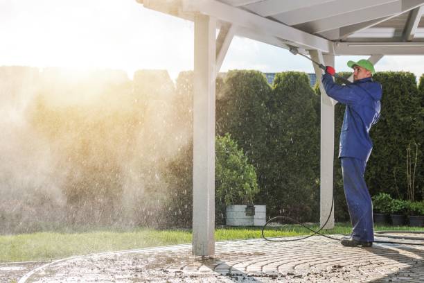 Best Rust Removal  in Lmar, DE