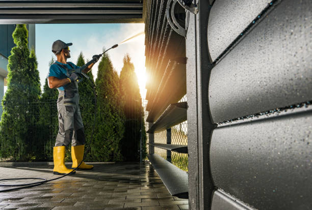 Best Sidewalk and Walkway Cleaning  in Lmar, DE