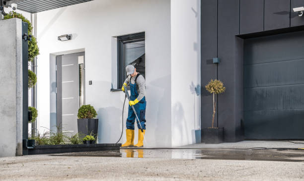 Animal Enclosure Cleaning in Delmar, DE
